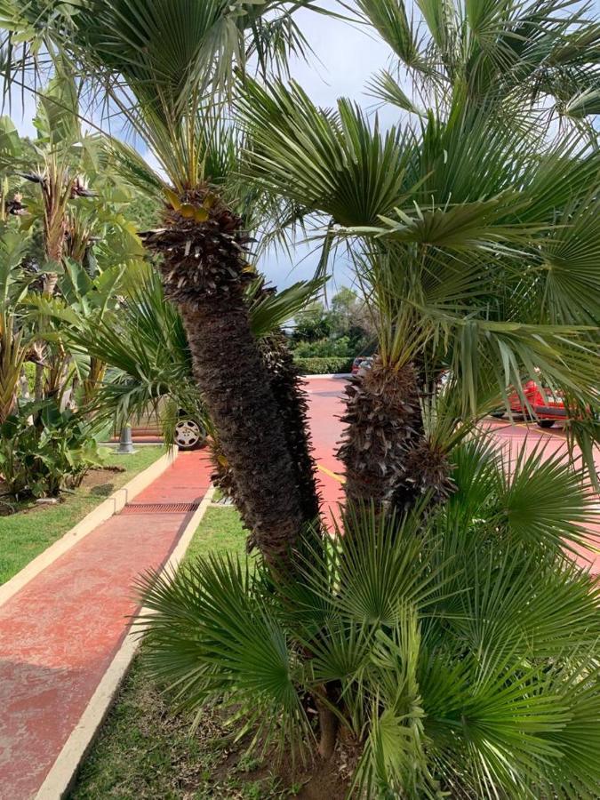 Vue Mer Exceptionnelle, El Rosario Marbella Buitenkant foto